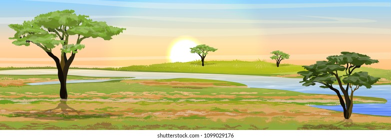 African savannah. Grass, acacia trees and river. Realistic vector landscape. The nature of Africa. Reserves and national parks.