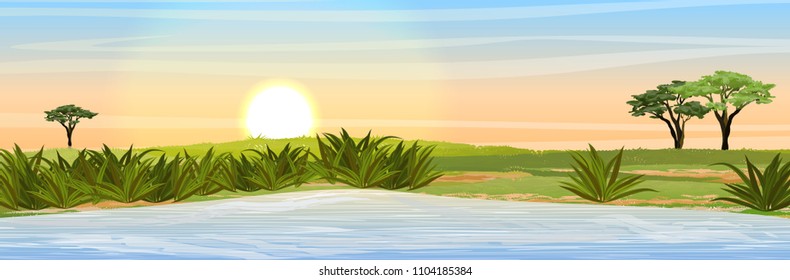 African savannah. Grass, acacia trees and a large lake. Realistic vector landscape. The nature of Africa. Reserves and national parks.