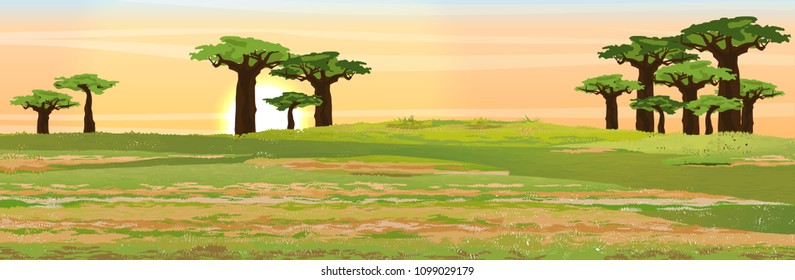 African savannah. Grass, baobab grove. Realistic vector landscape. The nature of Africa. Reserves and national parks.