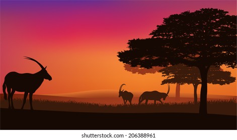 African savannah with grazing antelopes sunset landscape - wildlife scene vector