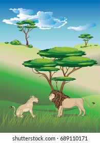 African savannah landscape with couple of lions.