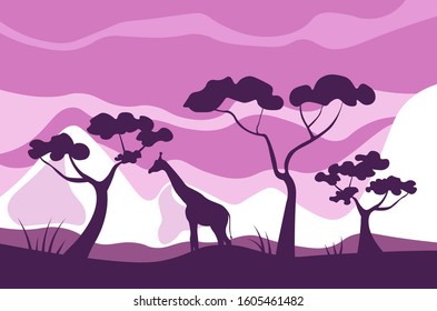 African savannah landscape, giraffe eats leaves of acacia trees