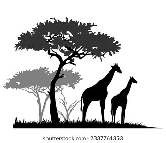 African savannah landscape with giraffe silhouettes. Vector illustration.	
