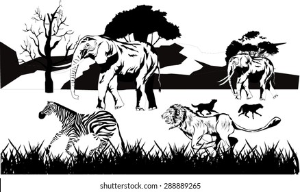 African savannah landscape illustration. Lion zebra, elepants, grass and trees all black white colors