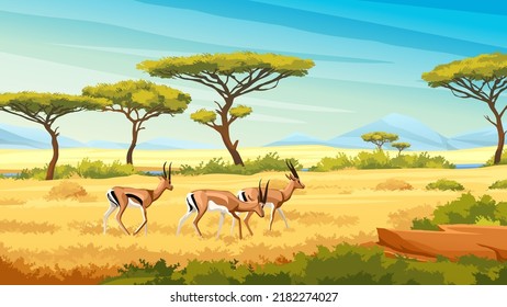 African savannah landscape with wild roe young deers, nature of Africa, cartoon background. Vector green trees, rocks and plain grassland field under blue clear sky. Kenya panoramic view - Shutterstock ID 2182274027