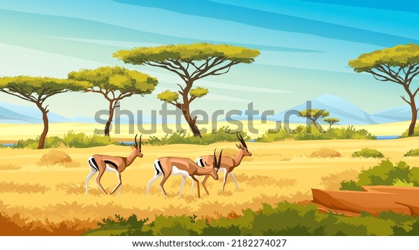 African savannah landscape with wild roe young dears, nature of Africa, cartoon background. Vector green trees, rocks and plain grassland field under blue clear sky. Kenya panoramic view wallpaper. 