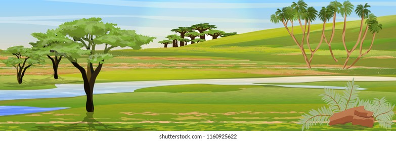 African savannah. Realistic vector landscape. The nature of Africa. Acacia, doom palm trees and baobabs. Reserves and national parks.