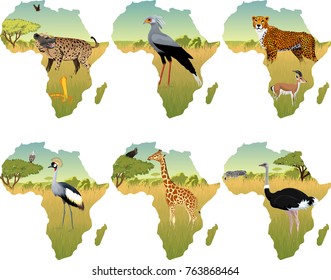 African savannah with secretary bird, crowned crane, hyenna, cobra, cheetah, gazelle, giraffe, ostrich and zebra - vector illustration