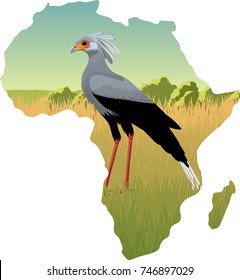 African savannah with secretary bird - vector illustration