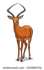African savannah standing antelope isolated in cartoon style. Educational zoology illustration, coloring book picture.
