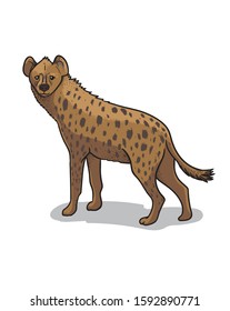 African savannah standing hyena isolated in cartoon style. Educational zoology illustration, coloring book picture.