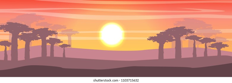 African Savannah at sunset. Baobab trees, grass, sky, sun and clouds. Realistic vector landscape. The nature of Africa. Reserves and national parks. 