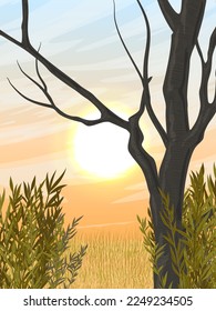 African savannah with tree and bush. Dawn in Africa. Realistic vector landscape