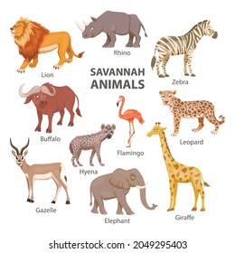 African Savannah Wild Animal Set. Lion, Rhino, Zebra, Buffalo, Giraffe, Flamingo, Leopard, Gazelle, Elephant, Hyena. Flat Vector Illustration. Animals of Africa. Savannh Safari Concept