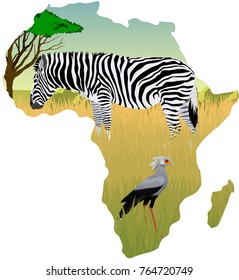 African savannah with zebra and secretary bird - vector illustration