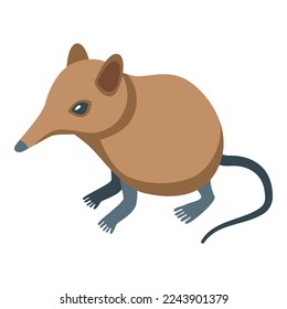 African shrew icon isometric vector. Mammal animal. Mouse picture