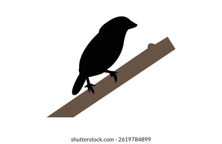 African silverbill bird Silhouette Design  And Vector Illustration. 