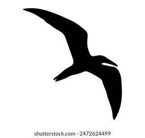 African Skimmer vector illustration design art.
