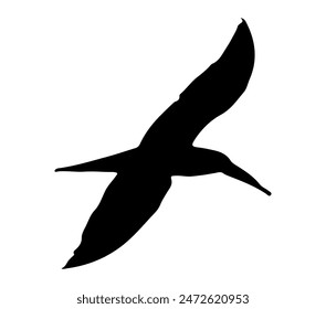 African Skimmer. Vector Imagen. Fondo blanco.