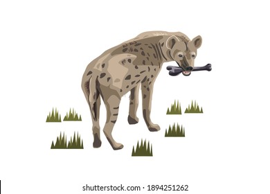 African spotted hyena with a bone in its teeth. Wild animal. Hand drawn sketch on white background vector illustration.
