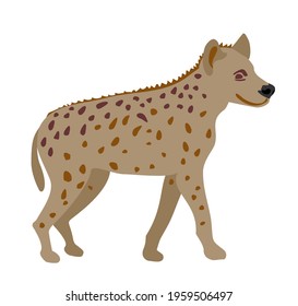 African spotted hyena on white background illustration. Wild animal. Engraved hand drawn old monochrome Vintage sketch.
