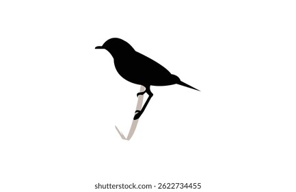 African stonechat bird Silhouette Design  And Vector Illustration. 