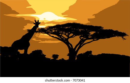 african sunrise