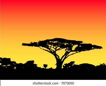african sunrise