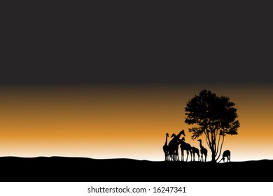 african sunrise landscape