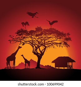 African sunset