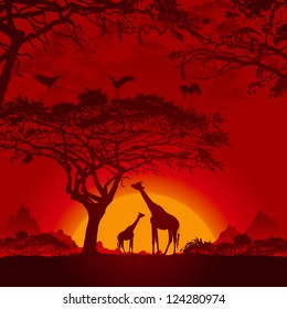 African sunset