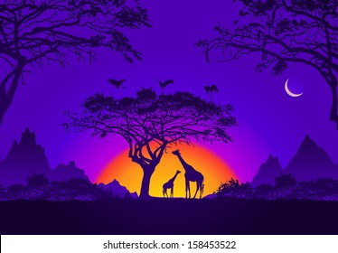 African sunset