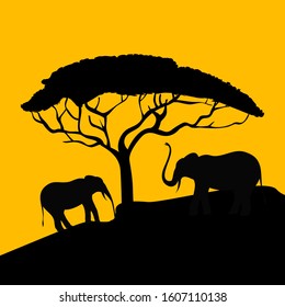 African sunset with elephants and tree silhouettes