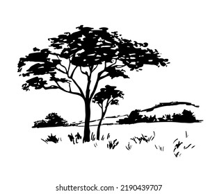 Silhouette africana de atardecer. Escena de paisaje negro vectorial con árbol aislado en fondo blanco. Esbozo dibujado a mano