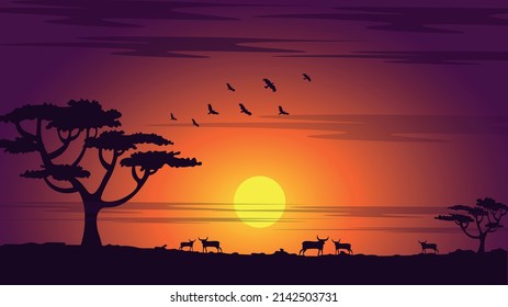 African sunset or sunrise with tree, birds, rams silhouette. Morning shadows of savana. Good for travel or safari ad.