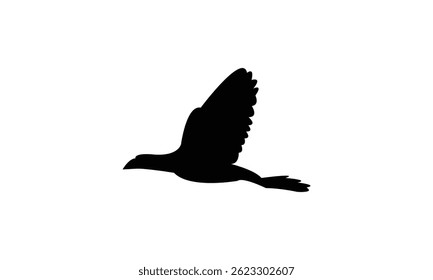 African swamphen bird Silhouette Design  And Vector Illustration. 
