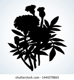 African Tagetes isolated on white bed backdrop. Dark ink hand drawn pictogram emblem insignia in retro art engraving contour print style on paper space for text. Closeup view