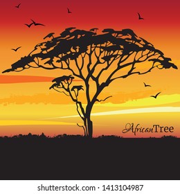 African tree acacia on sunset background. African landscape. Vector illustration.