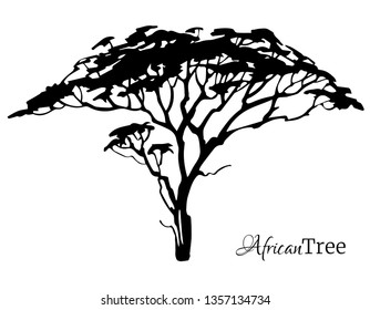 African tree black silhouette isolated. Vector illustration.