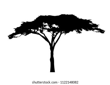 African Tree Icon, Acacia Tree Silhouette, Vector Isolated 