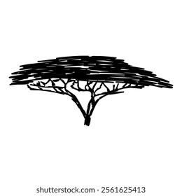 African tree isolated silhouette. Acacia tree silhouette.