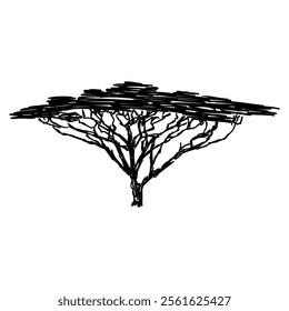 African tree isolated silhouette. Acacia tree silhouette.
