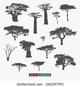 African tree isolated silhouettes set. Baobab, acacia and other. Elements for your design works. Vector illustration.