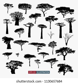 African tree isolated silhouettes set. Baobab, acacia and other. Elements for your design works. Vector illustration.