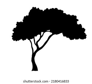 African Tree Silhouette Branch Leaves Illustration Stock Vector ...