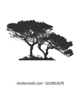 African tree in silhouette. Stock Vector illustration isolated on white background.