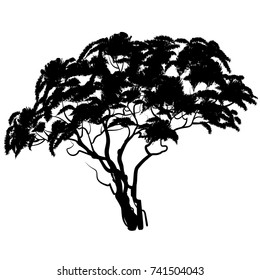 African Tree Silhouette. Vector Illustration