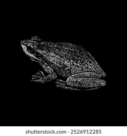 árvore africana toad mão desenhando vetor isolado no fundo preto.