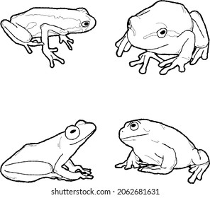 669 African tree frog Images, Stock Photos & Vectors | Shutterstock