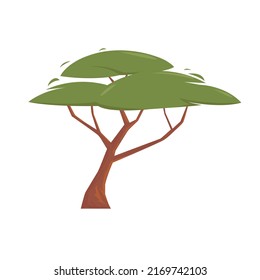 african tree vector illustration isolated on white background